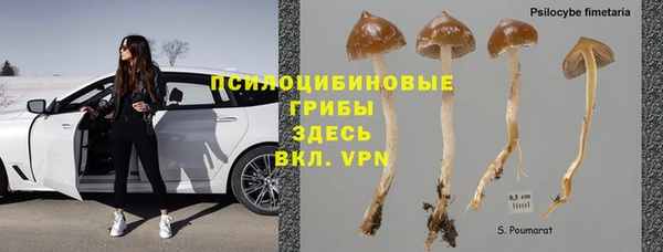 стаф Армянск