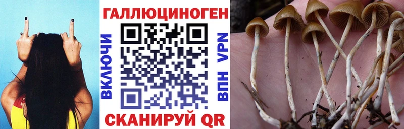 даркнет сайт  Палласовка  Галлюциногенные грибы Magic Shrooms 